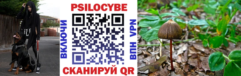 Псилоцибиновые грибы Cubensis  маркетплейс клад  Киренск 